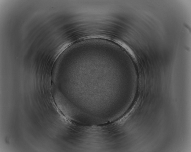 X0000091690809200709131606