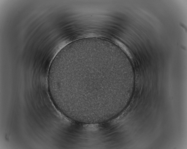 X0000091690810200709131606