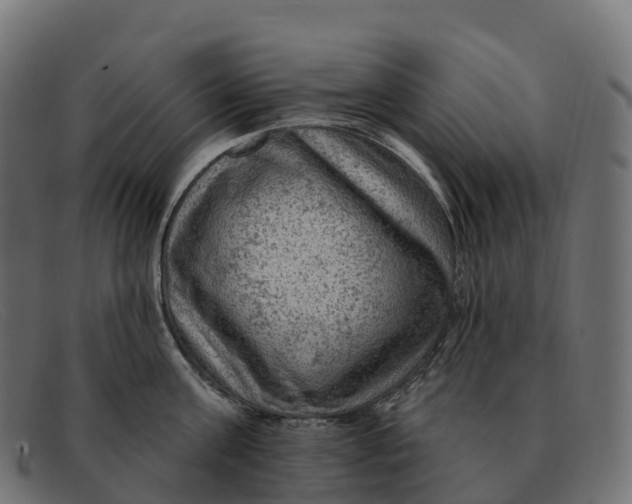 X0000091690811200709131606