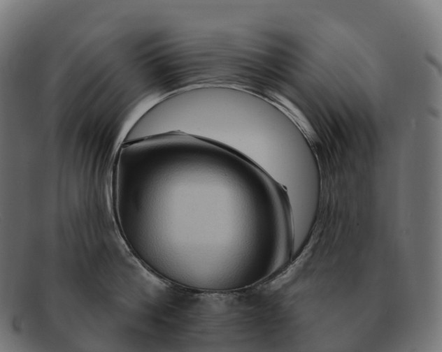 X0000091690812200709131606