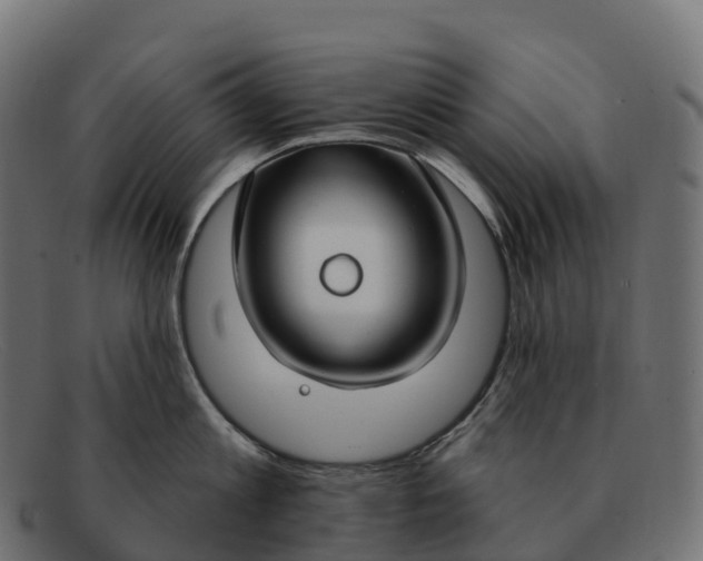 X0000091690813200709131606