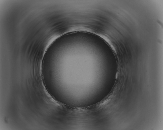 X0000091690815200709131606