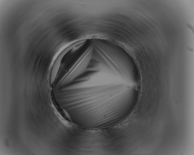 X0000091690816200709131606