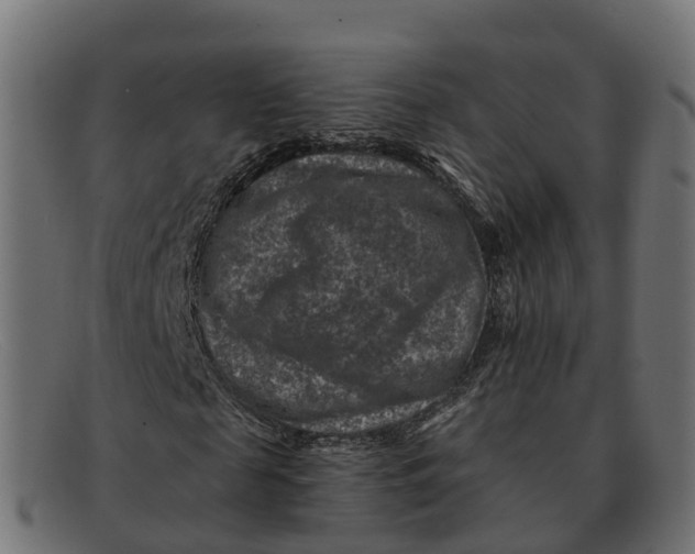 X0000091690817200709131605