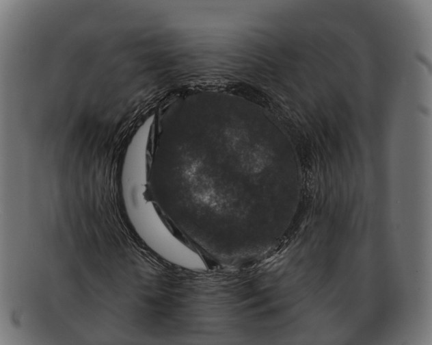 X0000091690818200709131605