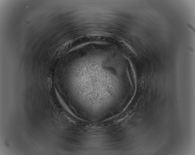 X0000091690821200709131605