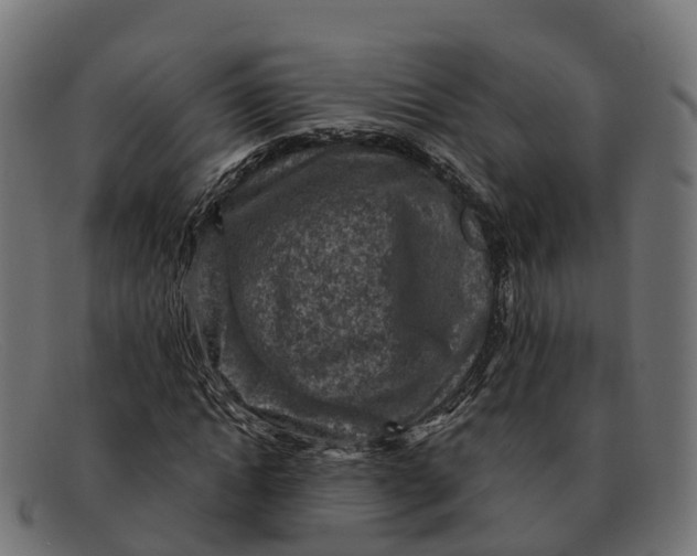 X0000091690822200709131605