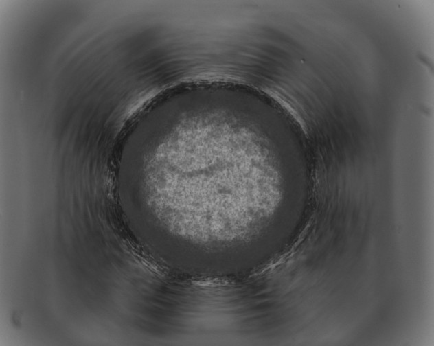 X0000091690823200709131605