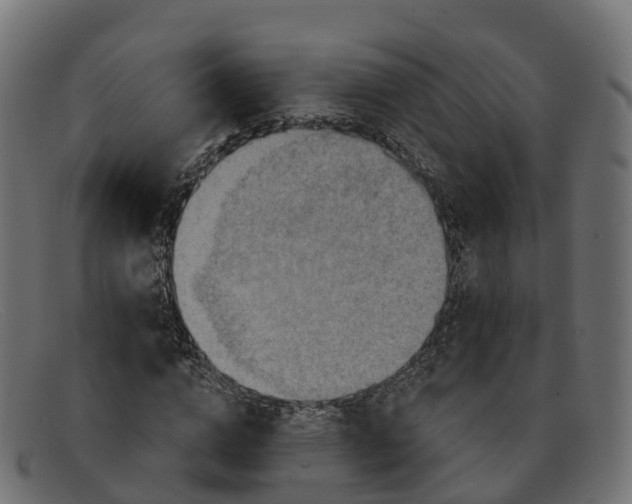 X0000091690824200709131605