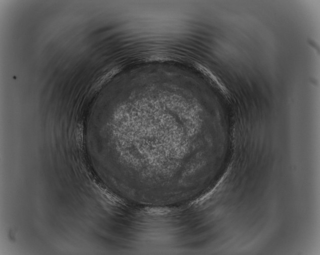 X0000091690825200709131605