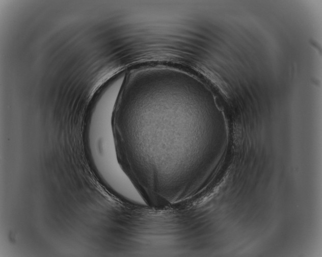 X0000091690826200709131605