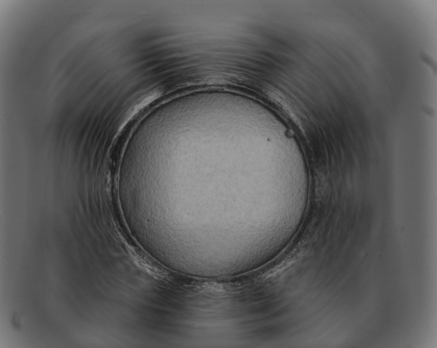 X0000091690827200709131605