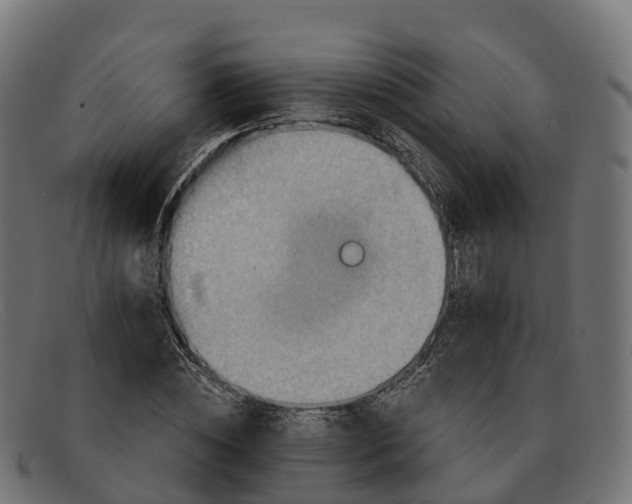 X0000091690828200709131605