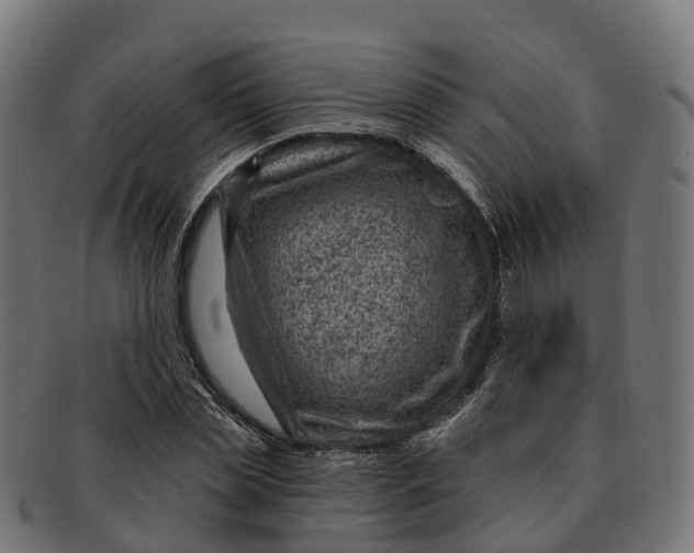 X0000091690829200709131605