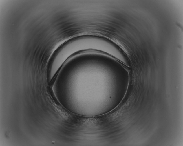 X0000091690830200709131605