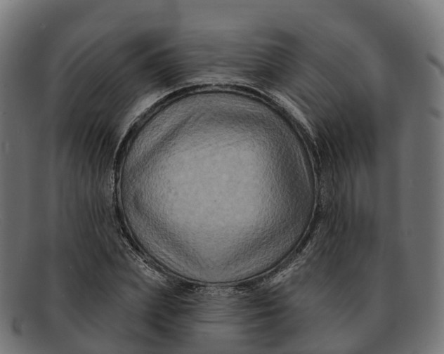 X0000091690831200709131605