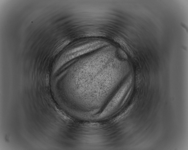 X0000091690833200709131605