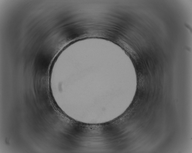 X0000091690836200709131605