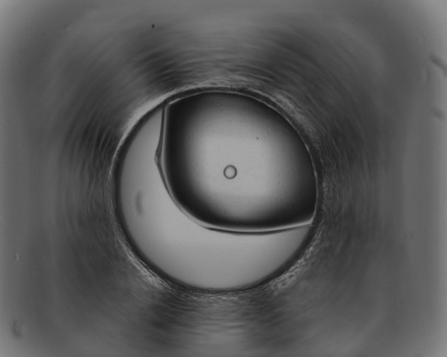 X0000091690838200709131605