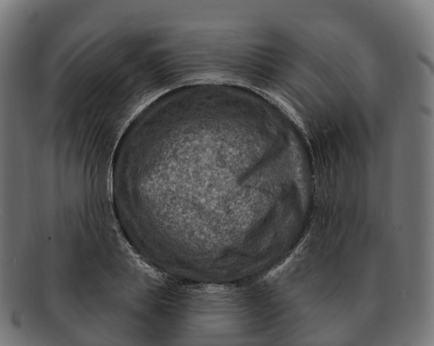 X0000091690839200709131605