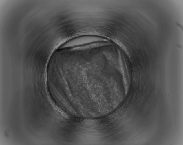 X0000091690840200709131605