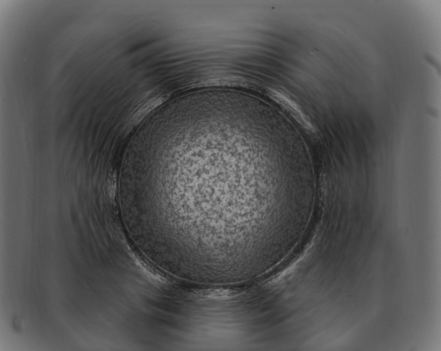 X0000091690841200709131605