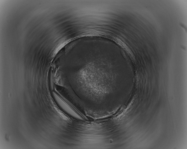 X0000091690842200709131605