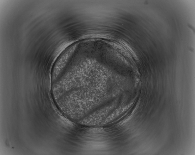 X0000091690844200709131605