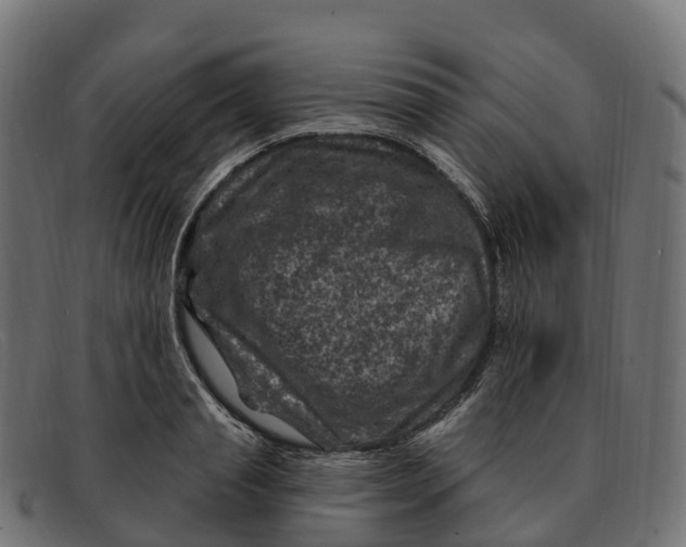 X0000091690845200709131605