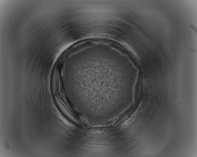 X0000091690846200709131605