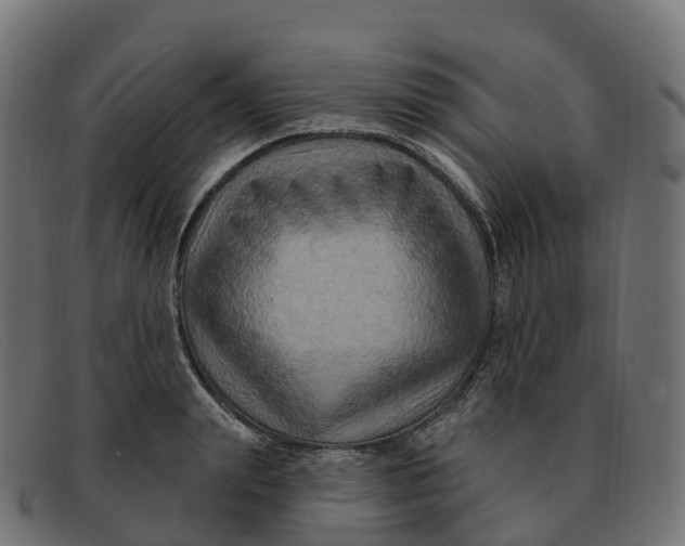 X0000091690847200709131606