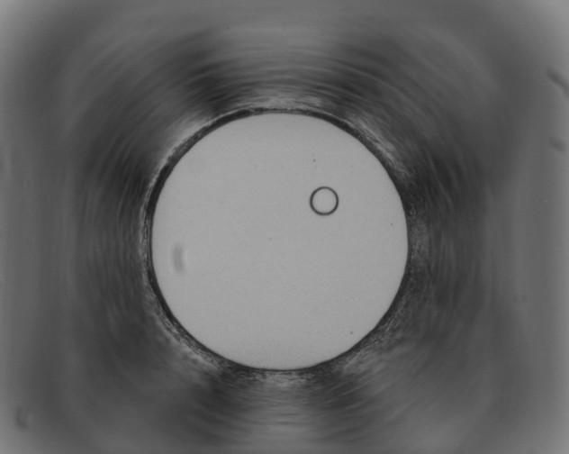 X0000091690848200709131606