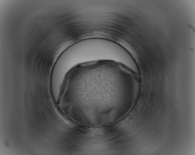 X0000091690850200709131606