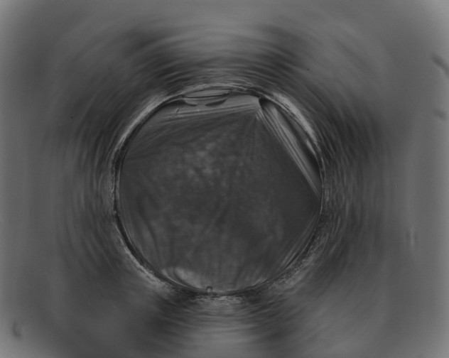 X0000091690851200709131606