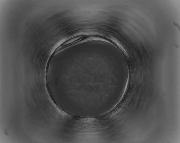 X0000091690853200709131606