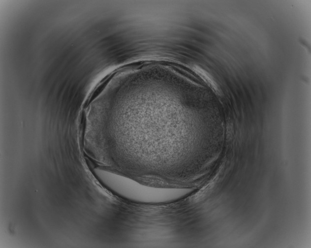 X0000091690854200709131606