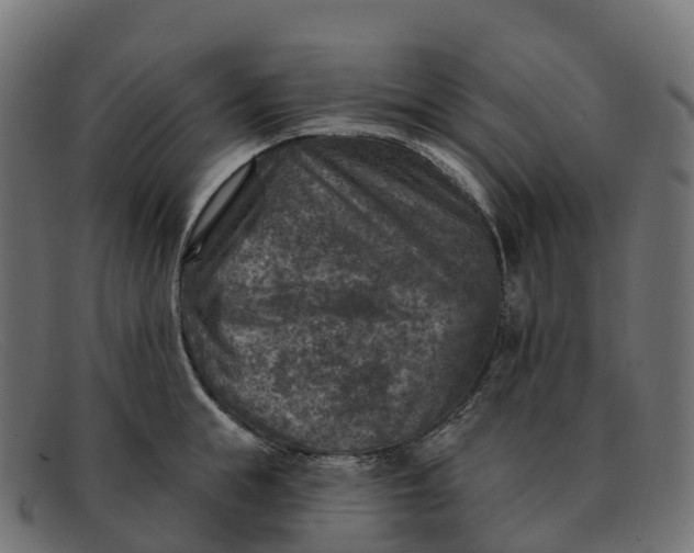 X0000091690855200709131606