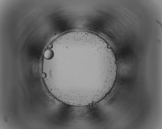 X0000091690856200709131606