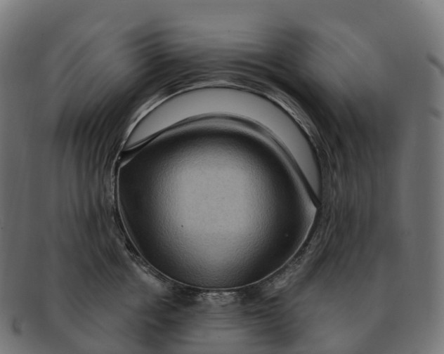 X0000091690858200709131606