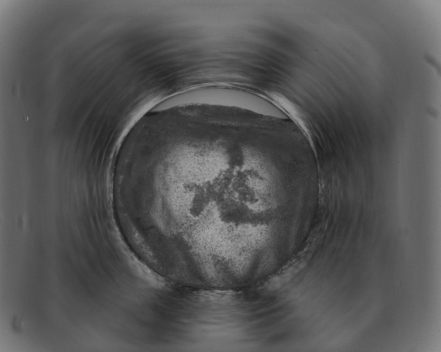 X0000091690859200709131606