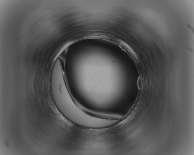 X0000091690860200709131606