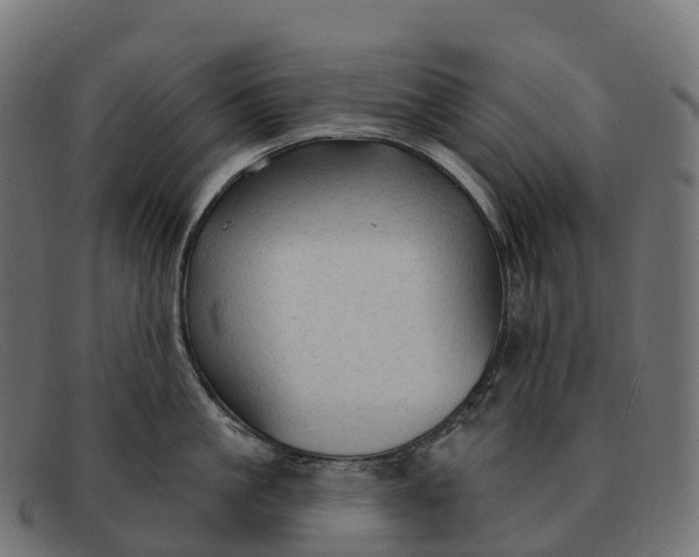 X0000091690861200709131606