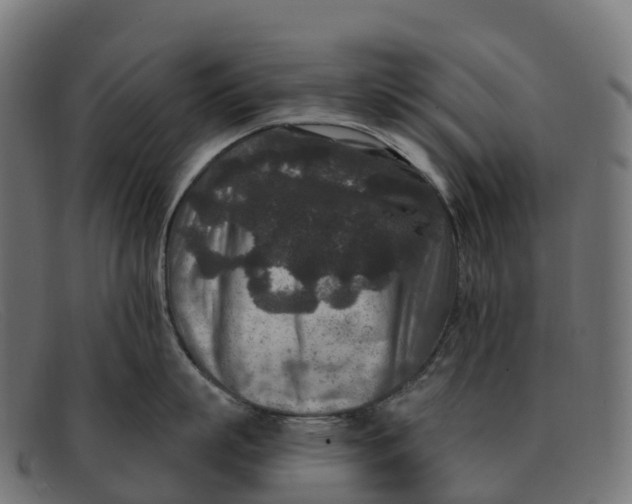 X0000091690863200709131606