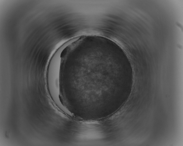 X0000091690864200709131606