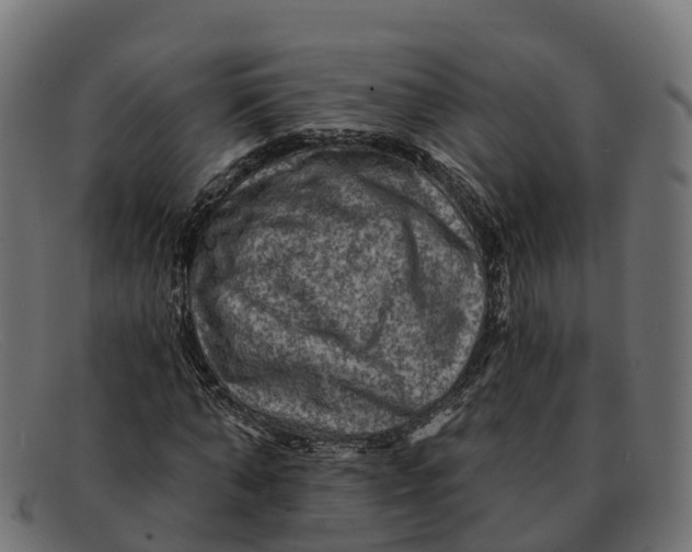 X0000091690870200709131605