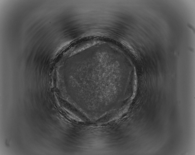 X0000091690872200709131605