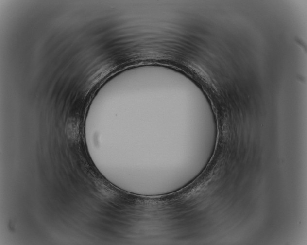 X0000091690873200709131605