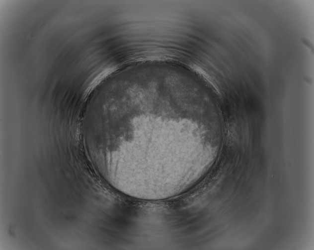 X0000091690874200709131605