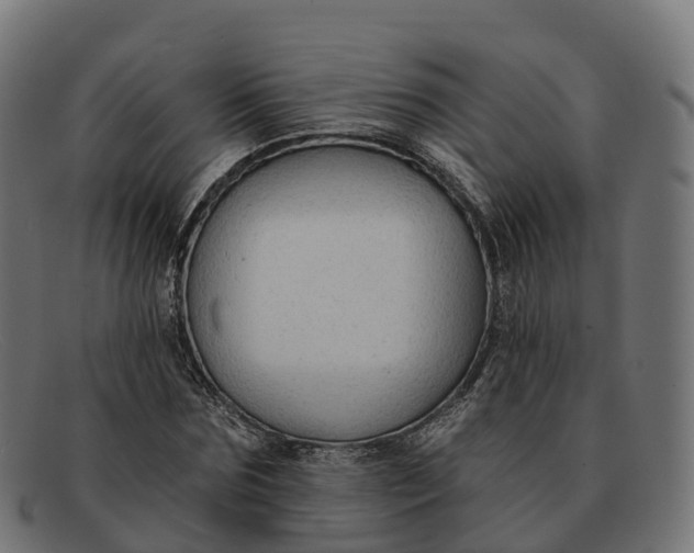 X0000091690875200709131605