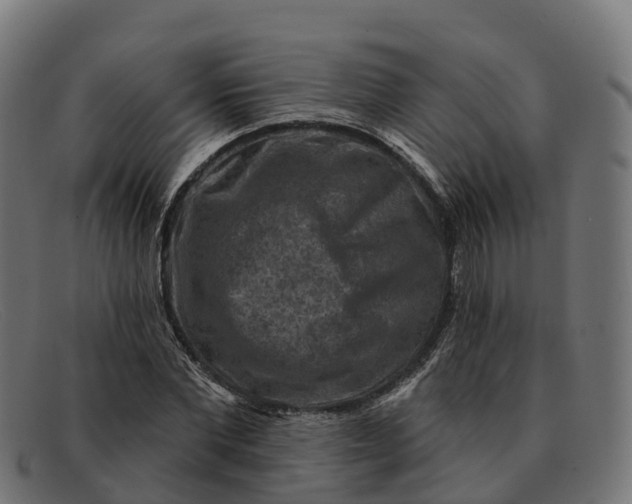 X0000091690877200709131605